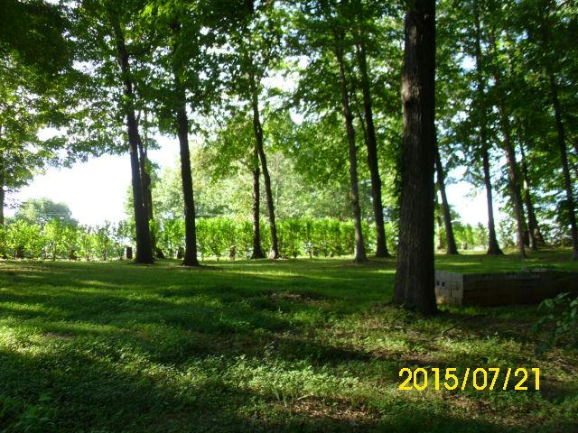 3991 Green Road Springfield, TN 37172 - Photo 11 of 20
