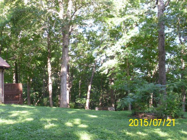 3991 Green Road Springfield, TN 37172 - Photo 7 of 20