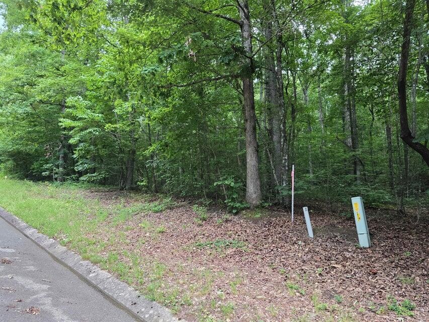 138 Lower Brow Road Dunlap, TN 37327 - Photo 2 of 8 Gallery Image 2