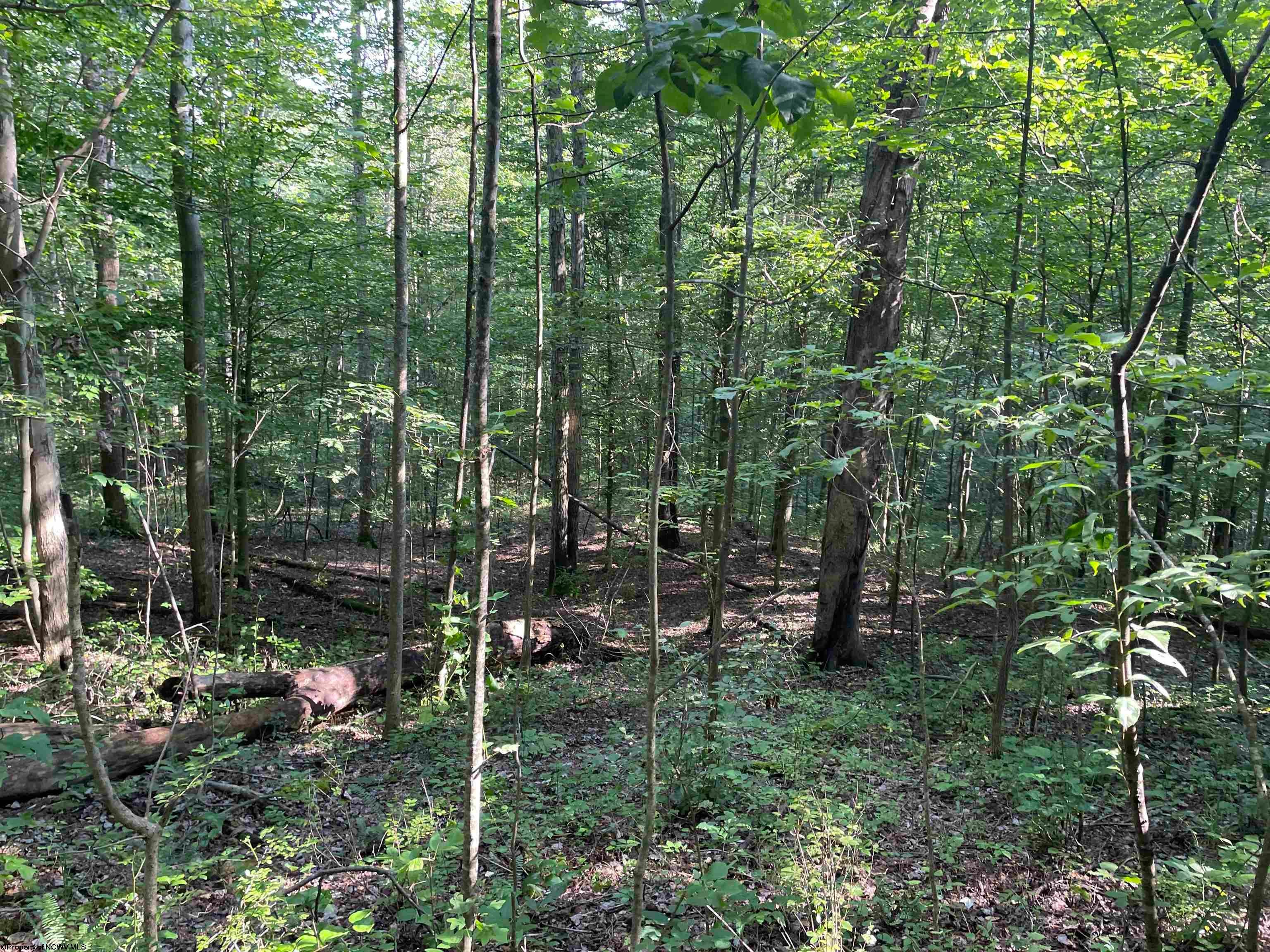 Tbd Mount Clare Road Mount Clare, WV 26408 - Photo 35 of 45 Gallery Image 35