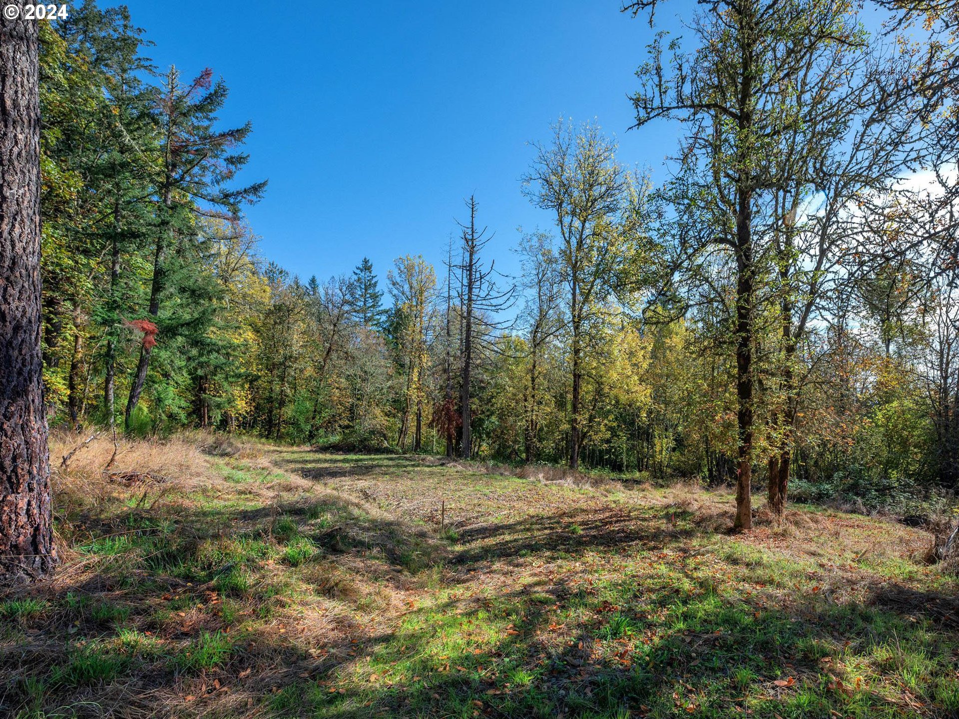 14180 Northwest Germantown Road Portland, OR 97231 - Photo 2 of 20 Gallery Image 2