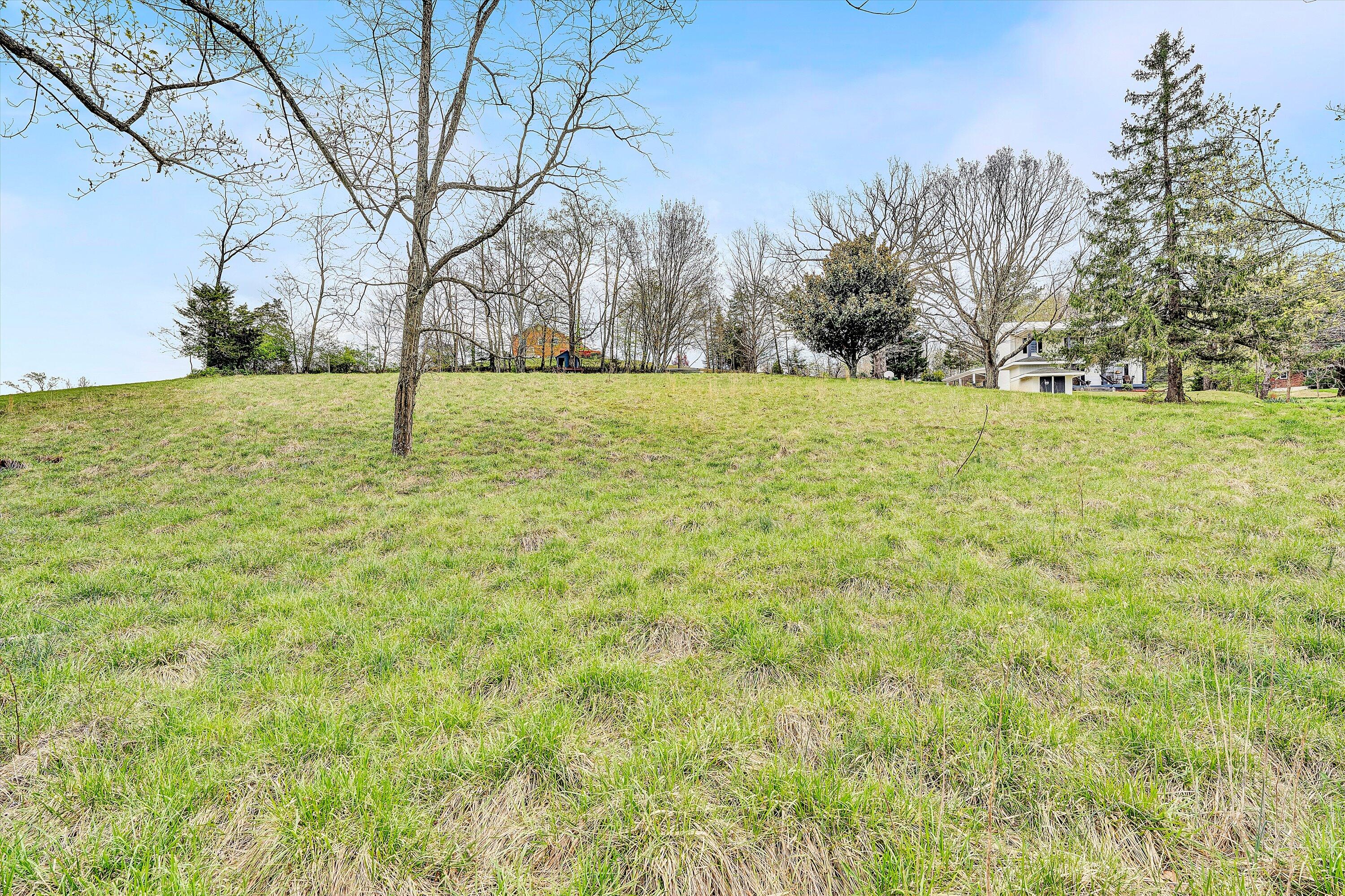 2238 Houston Mines Road Troutville, VA 24175 - Photo 29 of 36 a view of yard with trees