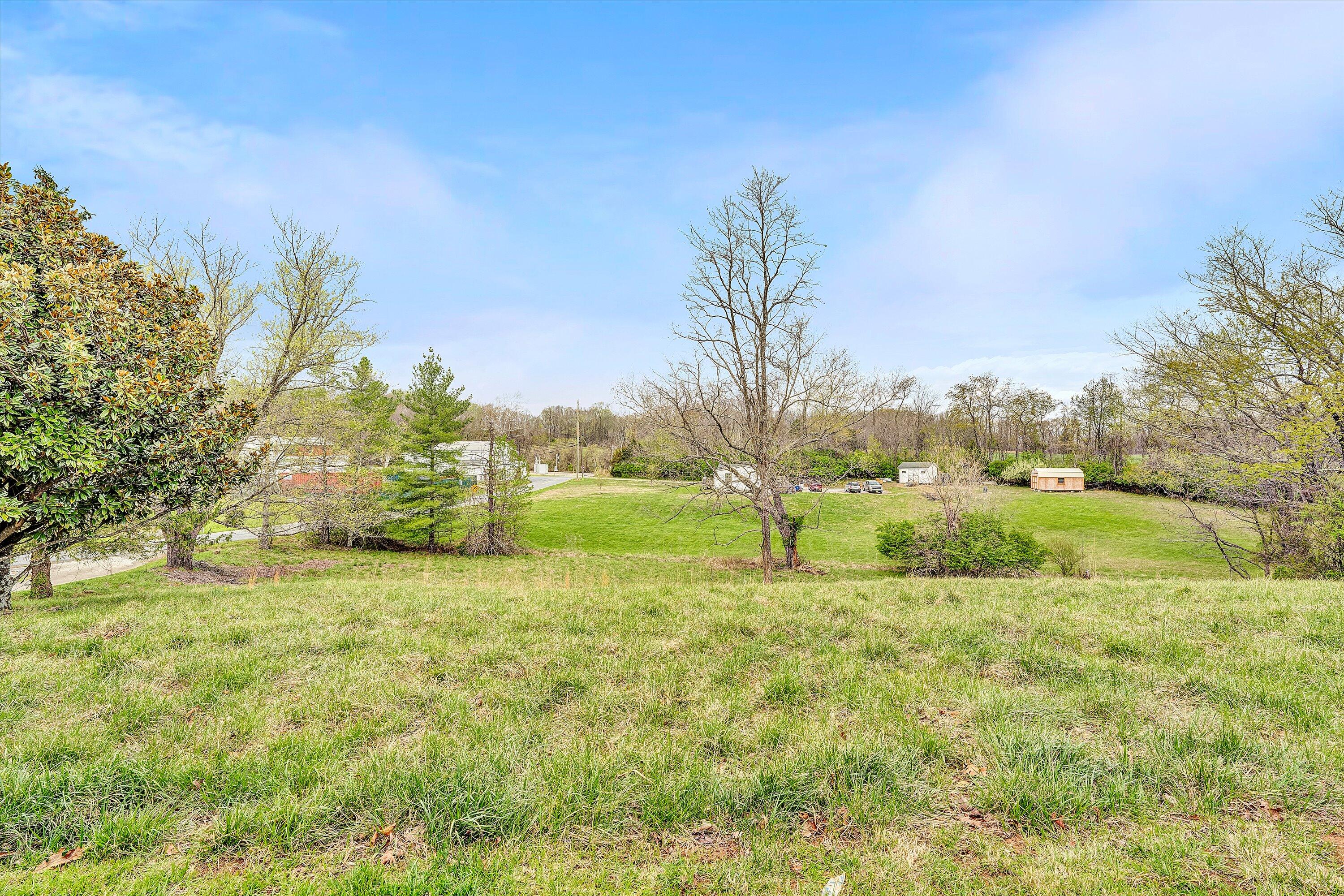 2238 Houston Mines Road Troutville, VA 24175 - Photo 30 of 36 a view of a field with large trees