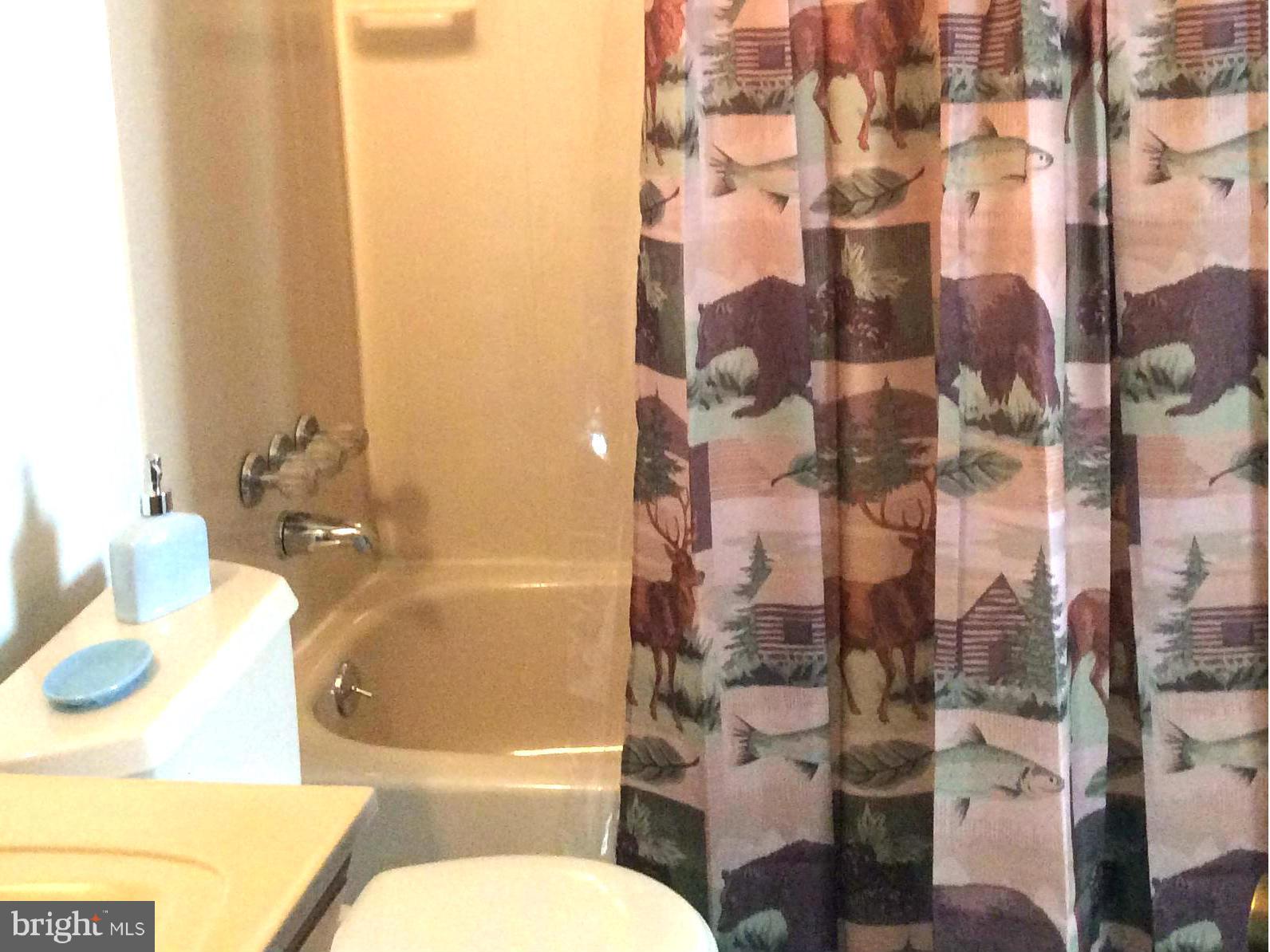 1539 Mayfield Road Edgewater, MD 21037 - Photo 8 of 17 a bathroom with a bathtub and shower