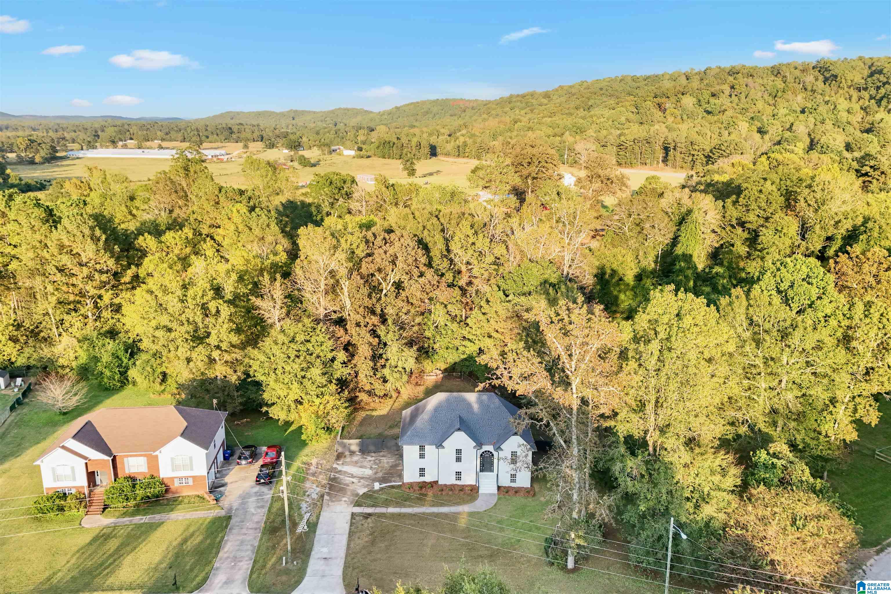 20 Peaceful Lane Springville, AL 35146 - Photo 40 of 41