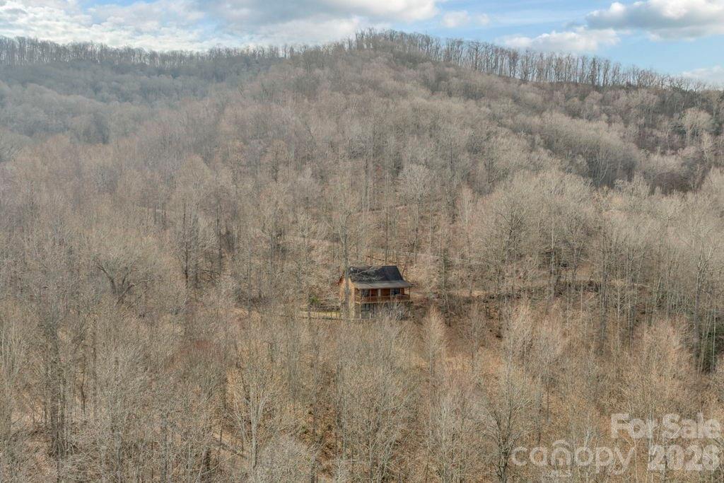 461 Arrowhead Ridge Road Spruce Pine, NC 28777 - Photo 36 of 42