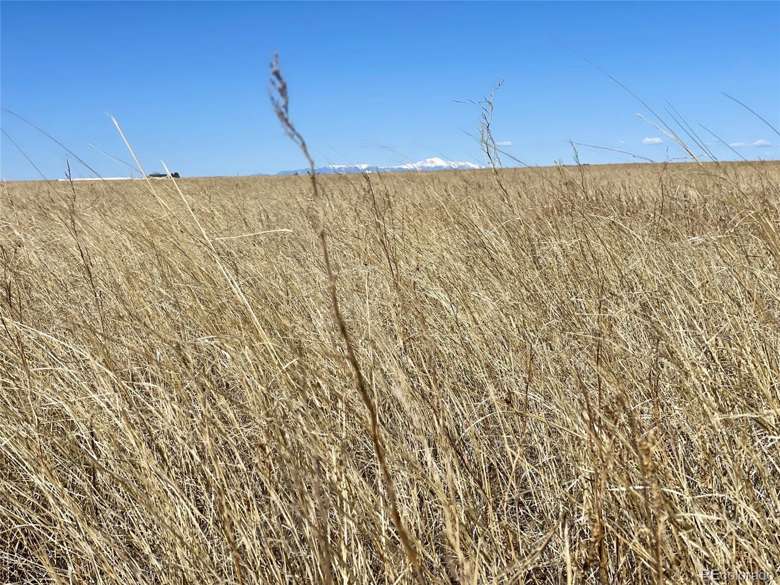 3 County Road South Rush, CO 80833 - Photo 3 of 10 Gallery Image 3