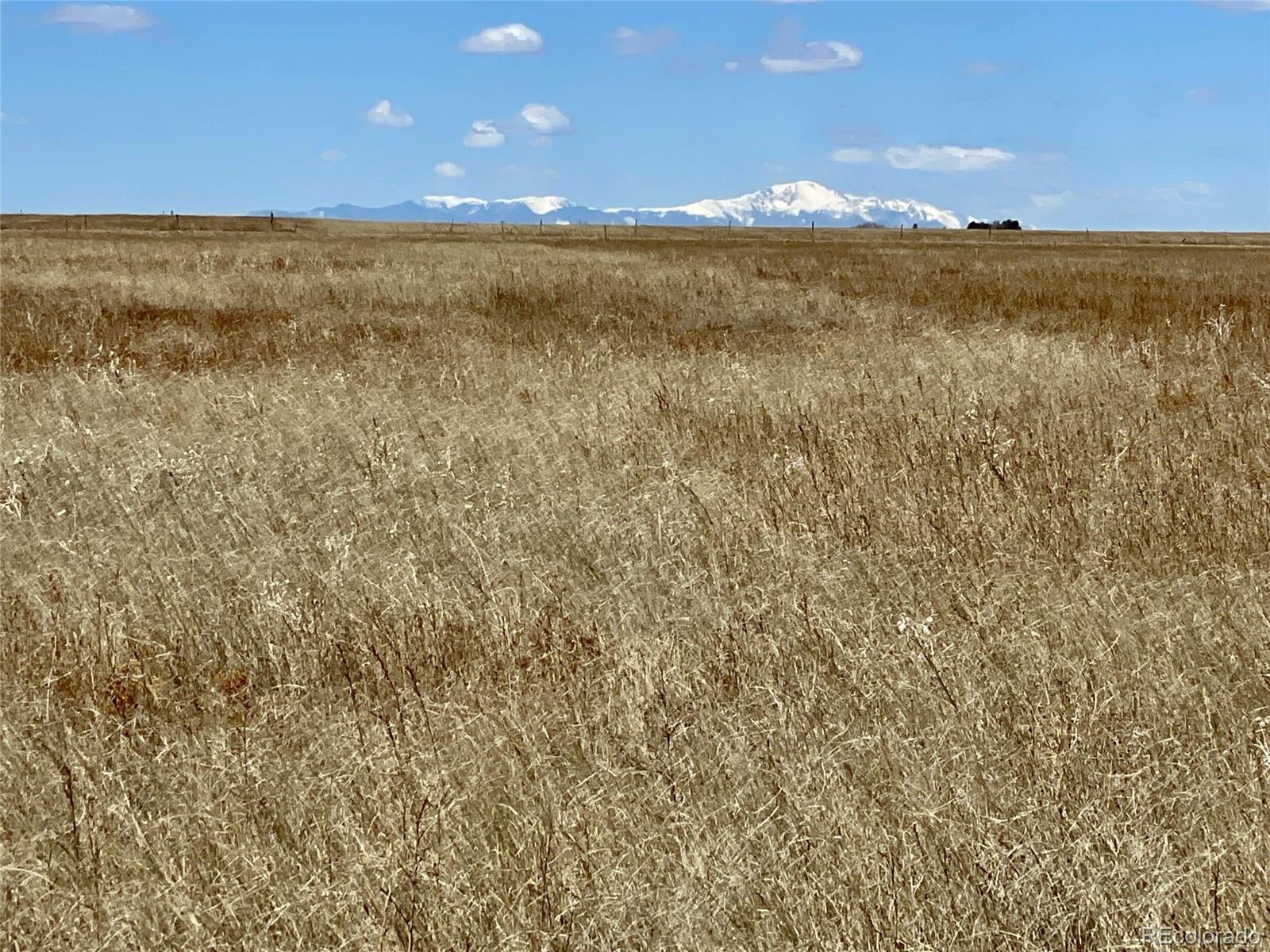 3 County Road South Rush, CO 80833 - Photo 5 of 10 Gallery Image 5