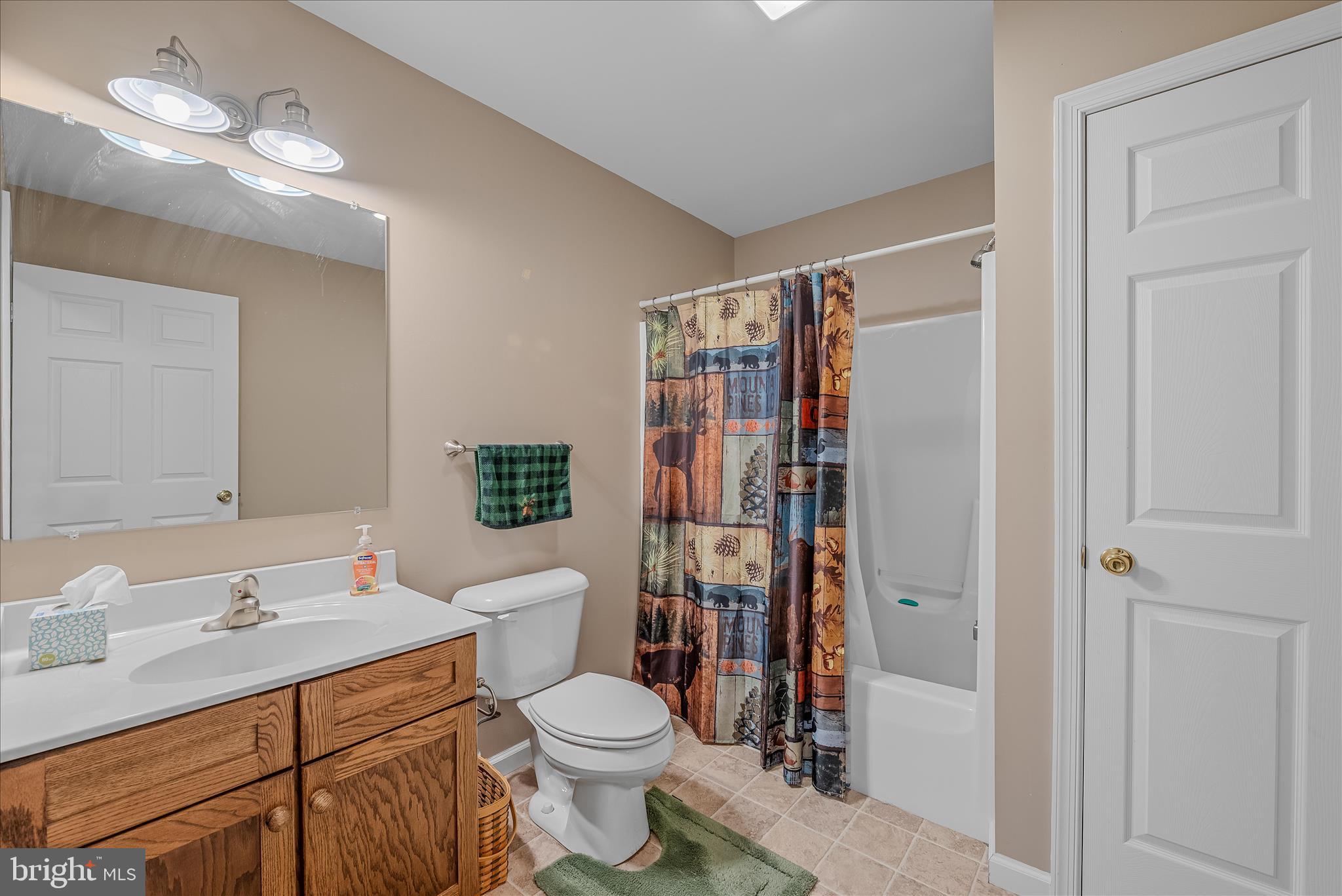 2910 Milo School Road Great Cacapon, WV 25422 - Photo 23 of 55 a bathroom with a toilet sink a mirror a vanity and shower