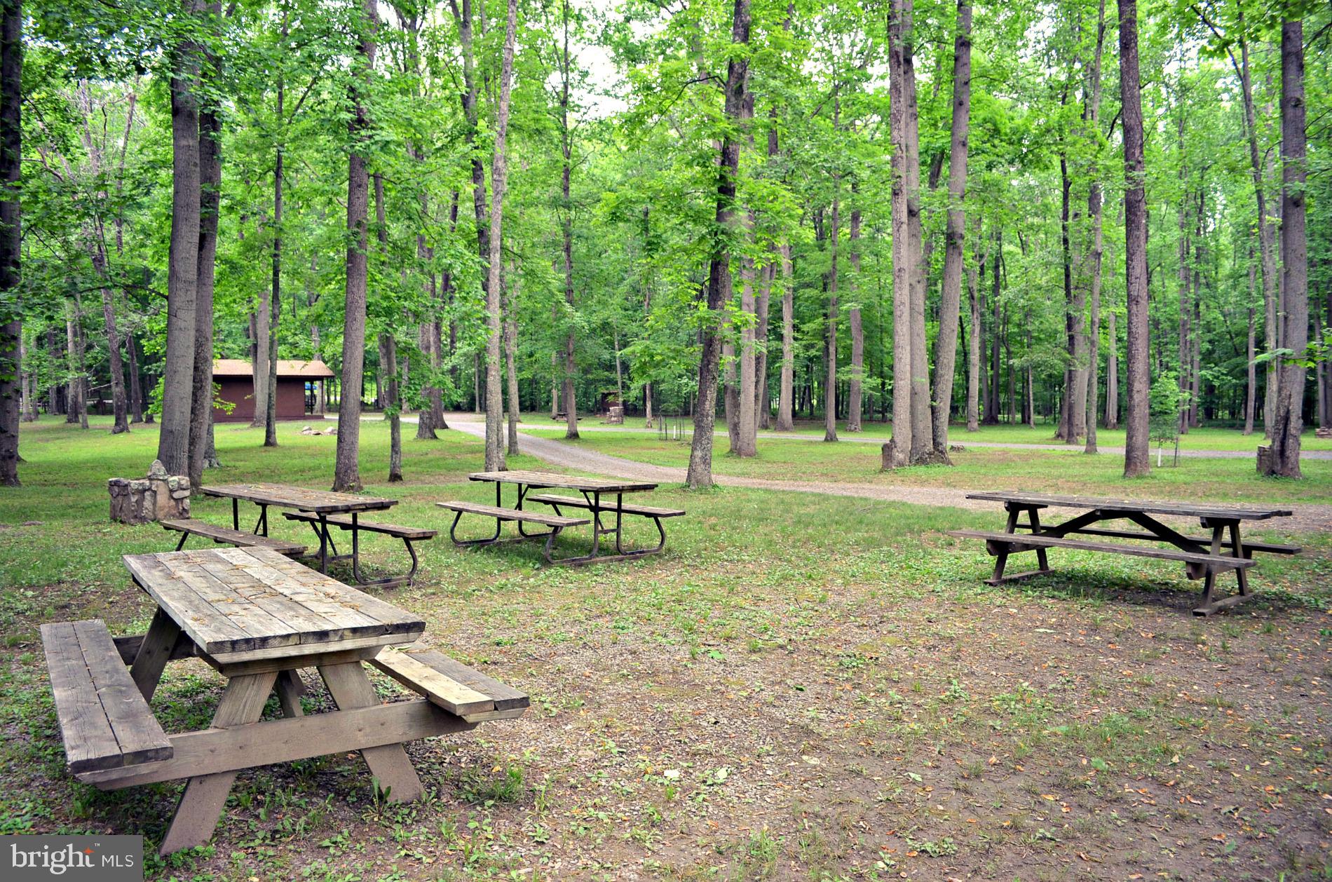2910 Milo School Road Great Cacapon, WV 25422 - Photo 46 of 55 a view of a park with benches in a park