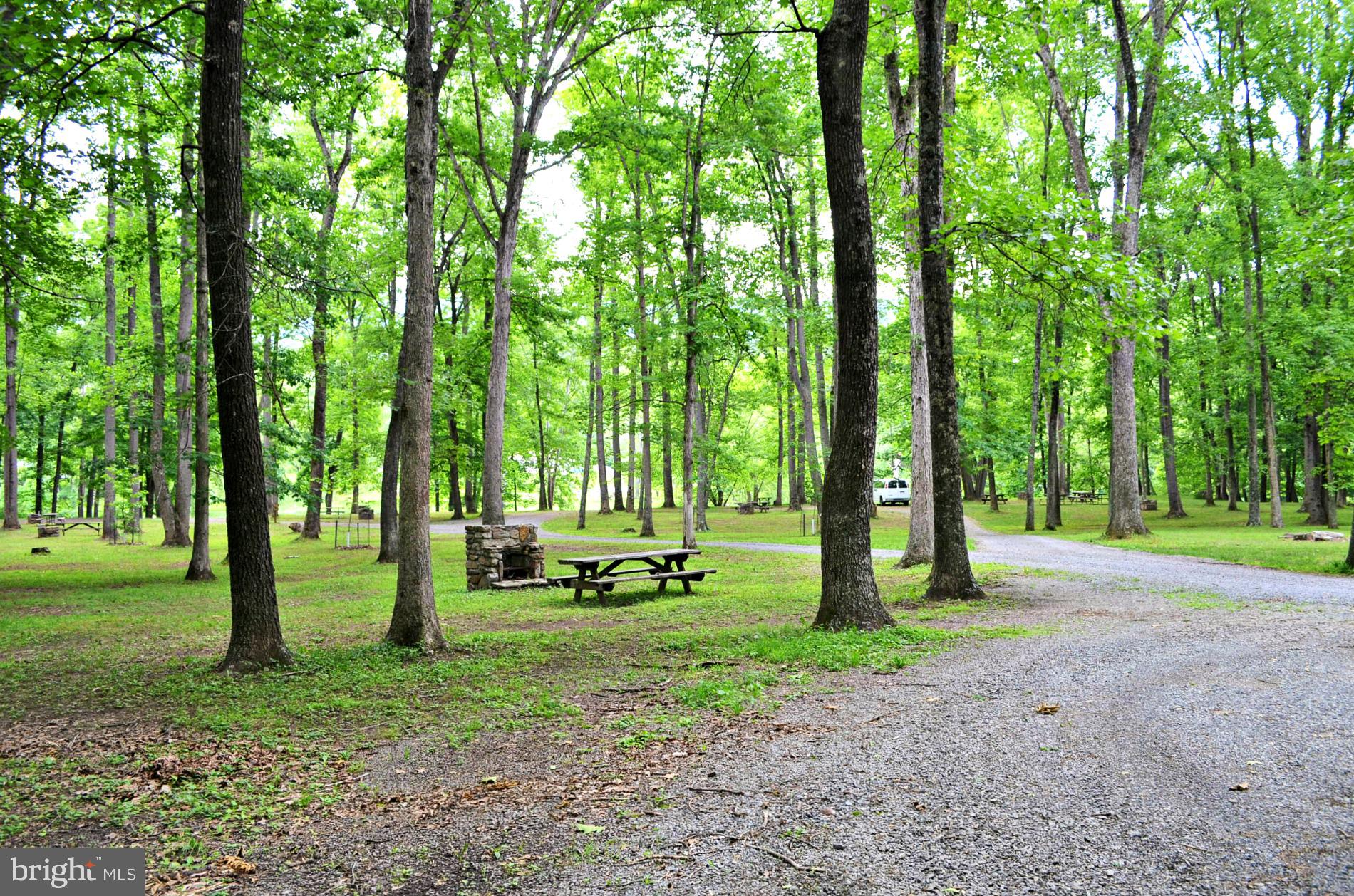 2910 Milo School Road Great Cacapon, WV 25422 - Photo 47 of 55 a view of a trees in a park