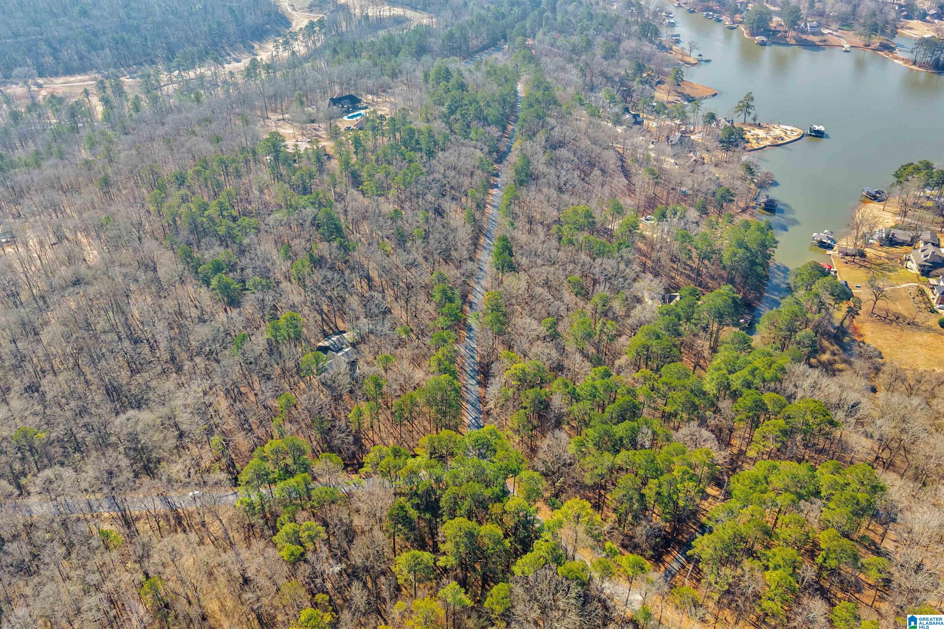 266 Davis Acres Drive Alpine, AL 35014 - Photo 56 of 60
