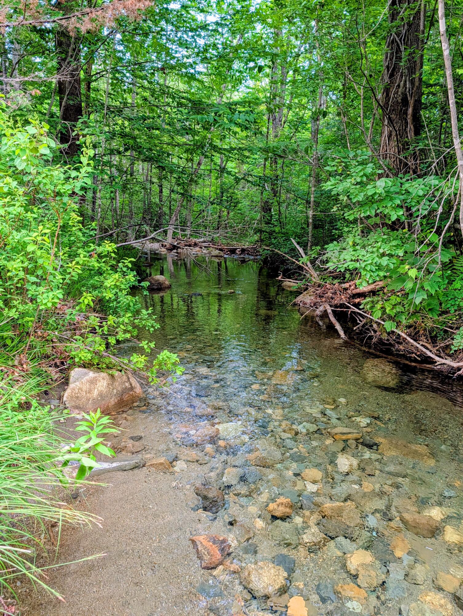 147 Calvin Gray Road Madrid Township, ME 04966 - Photo 62 of 68 147 Calvin Gray Road