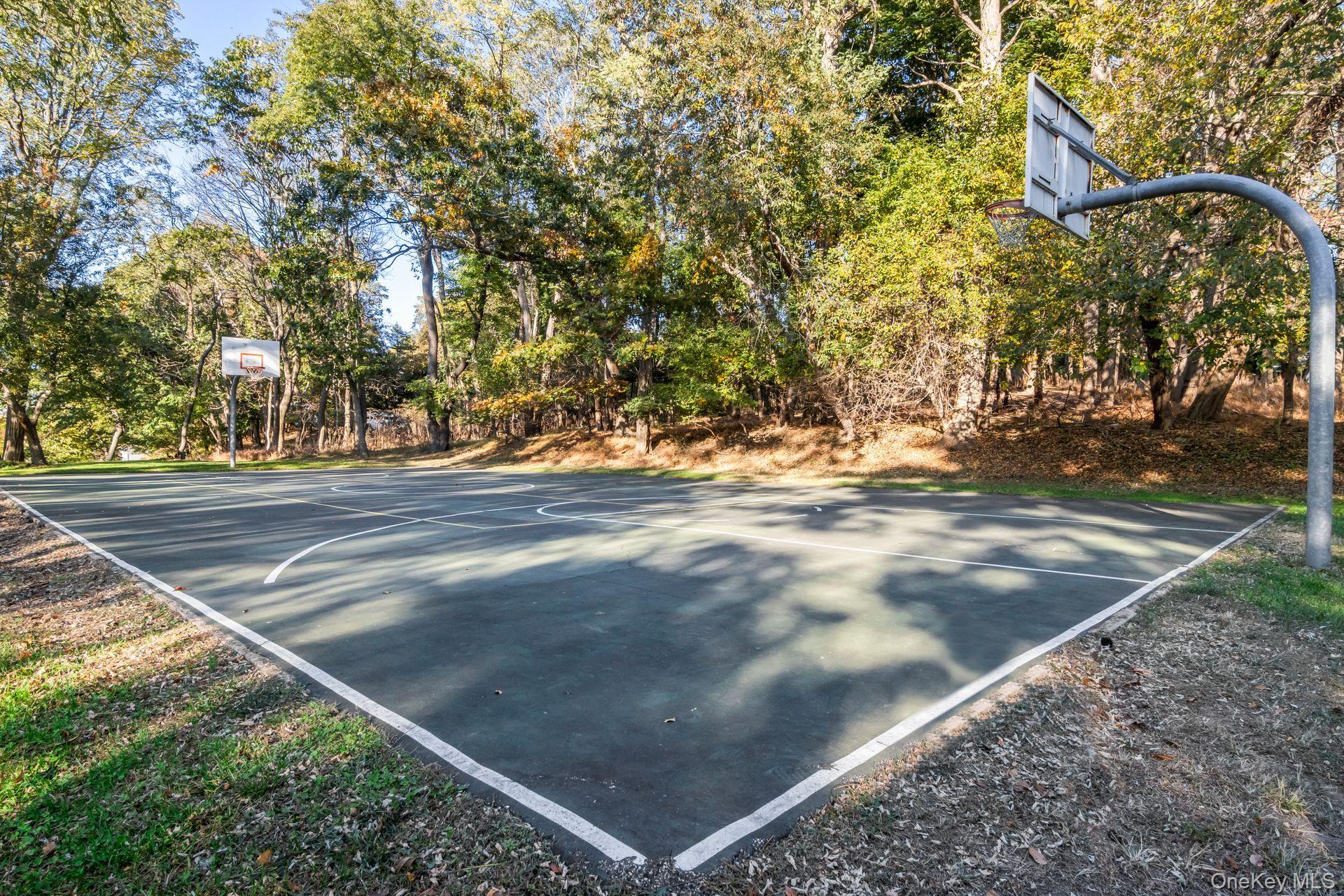 10 Tagliabue Road Shoreham, NY 11786 - Photo 36 of 36 Shoreham Village basketball court
