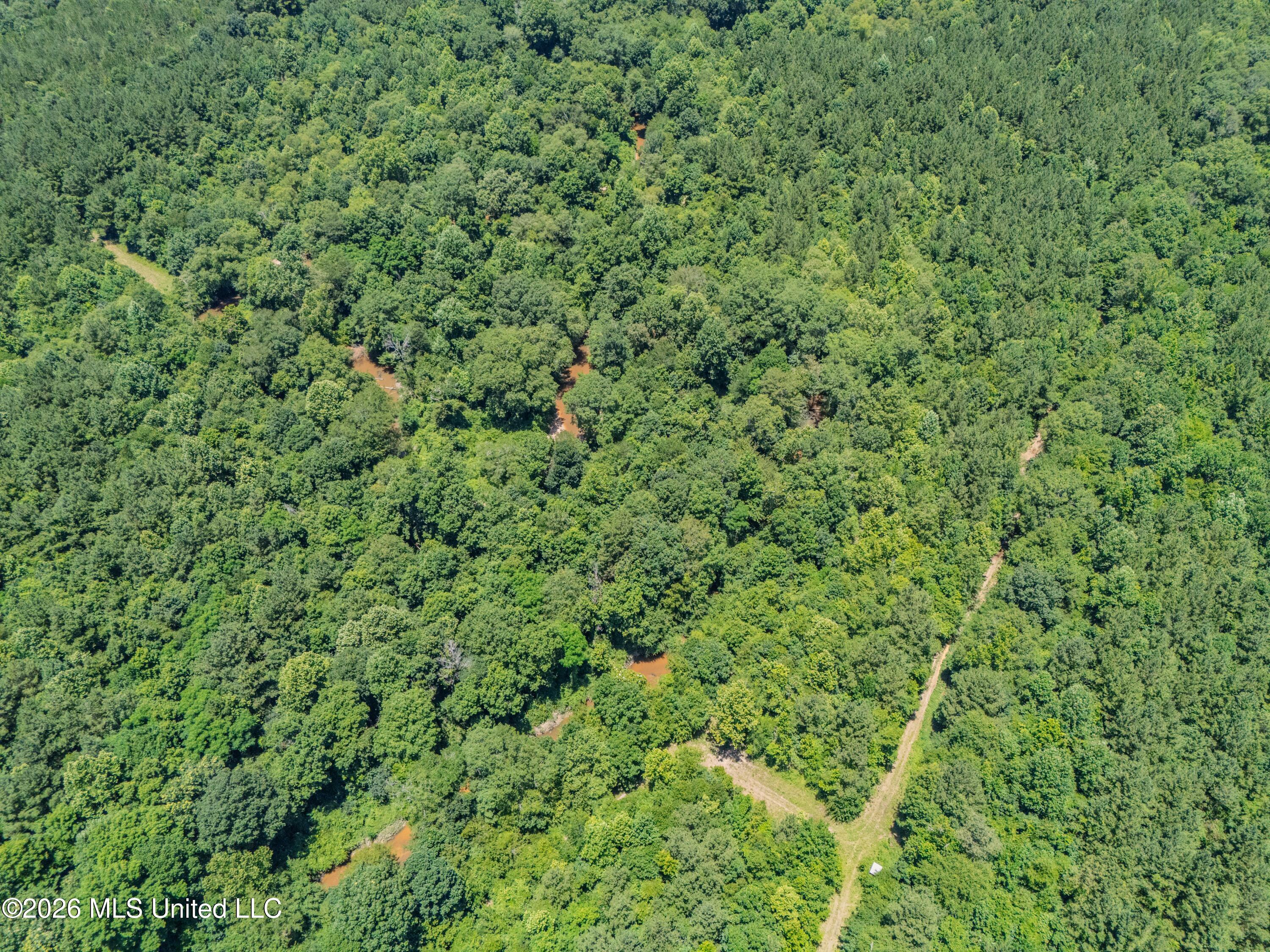 23 Co Road Bay Springs, MS 39422 - Photo 60 of 64 DJI_20260611124519_0036_D