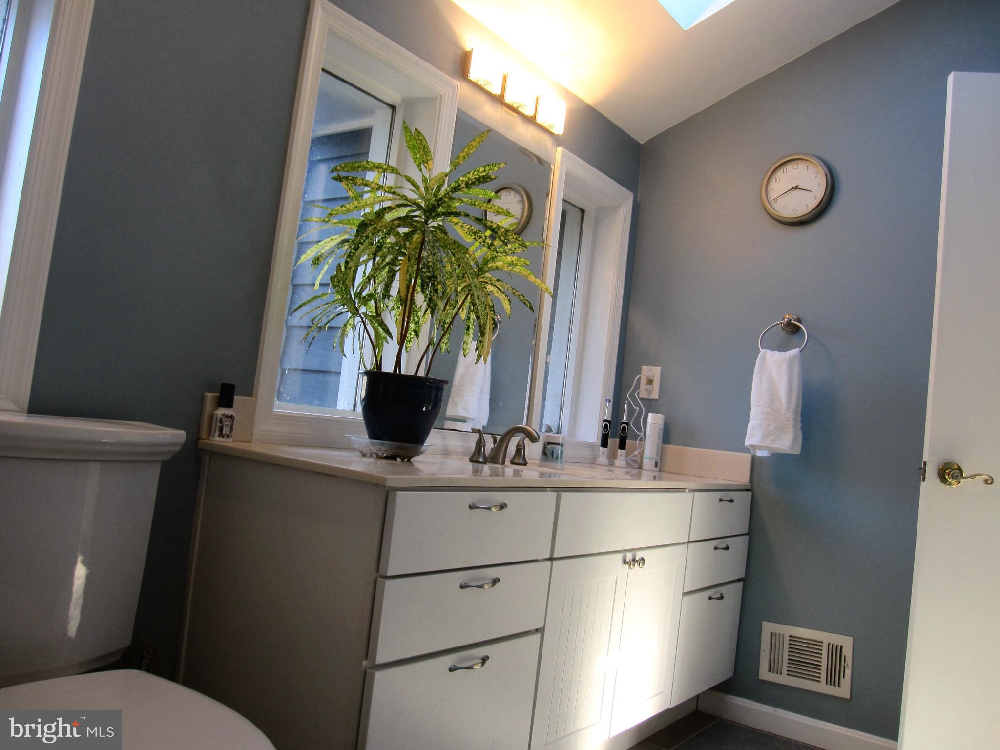 565 Laurel Court Riva, MD 21140 - Photo 34 of 55 Hall Bath with Vaulted ceilings & skylights