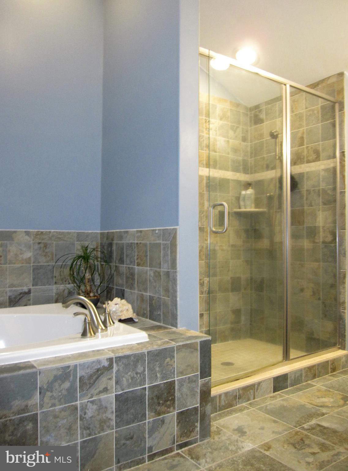 565 Laurel Court Riva, MD 21140 - Photo 42 of 55 Ceramic tile soaking tub and large shower