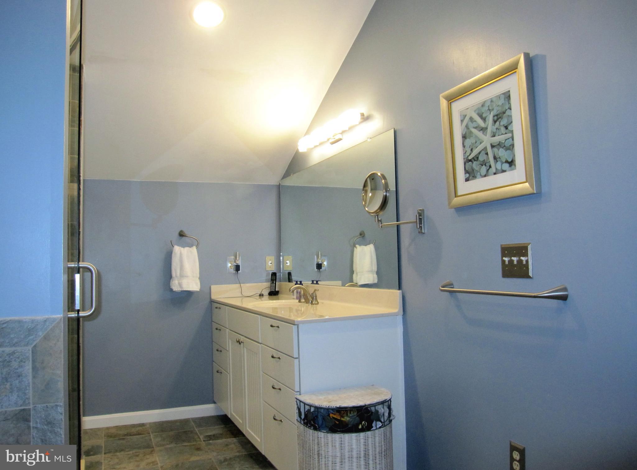565 Laurel Court Riva, MD 21140 - Photo 44 of 55 Updated master bath with large vanity