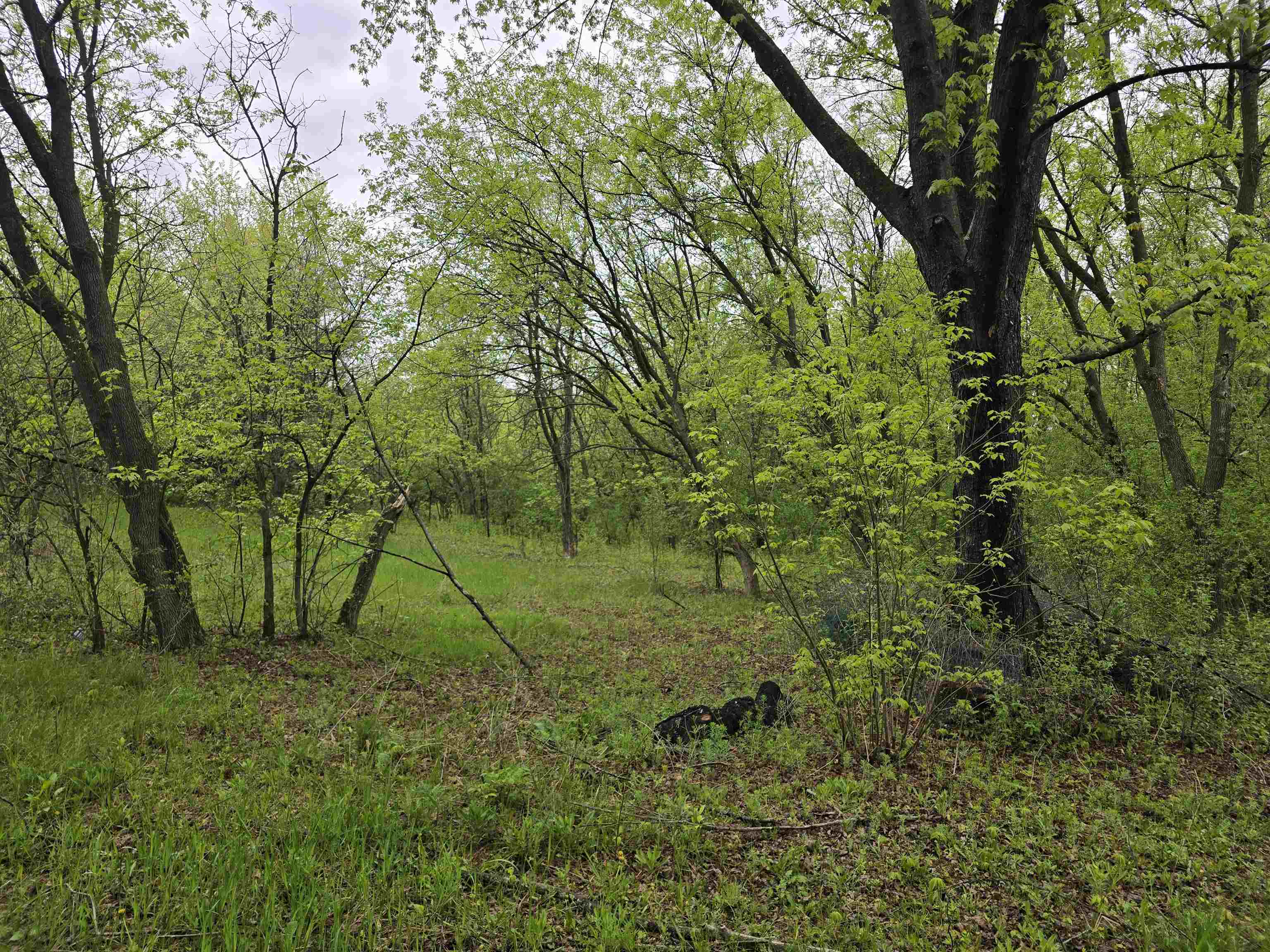 625 Semrow Road Coloma, WI 54930 - Photo 30 of 32