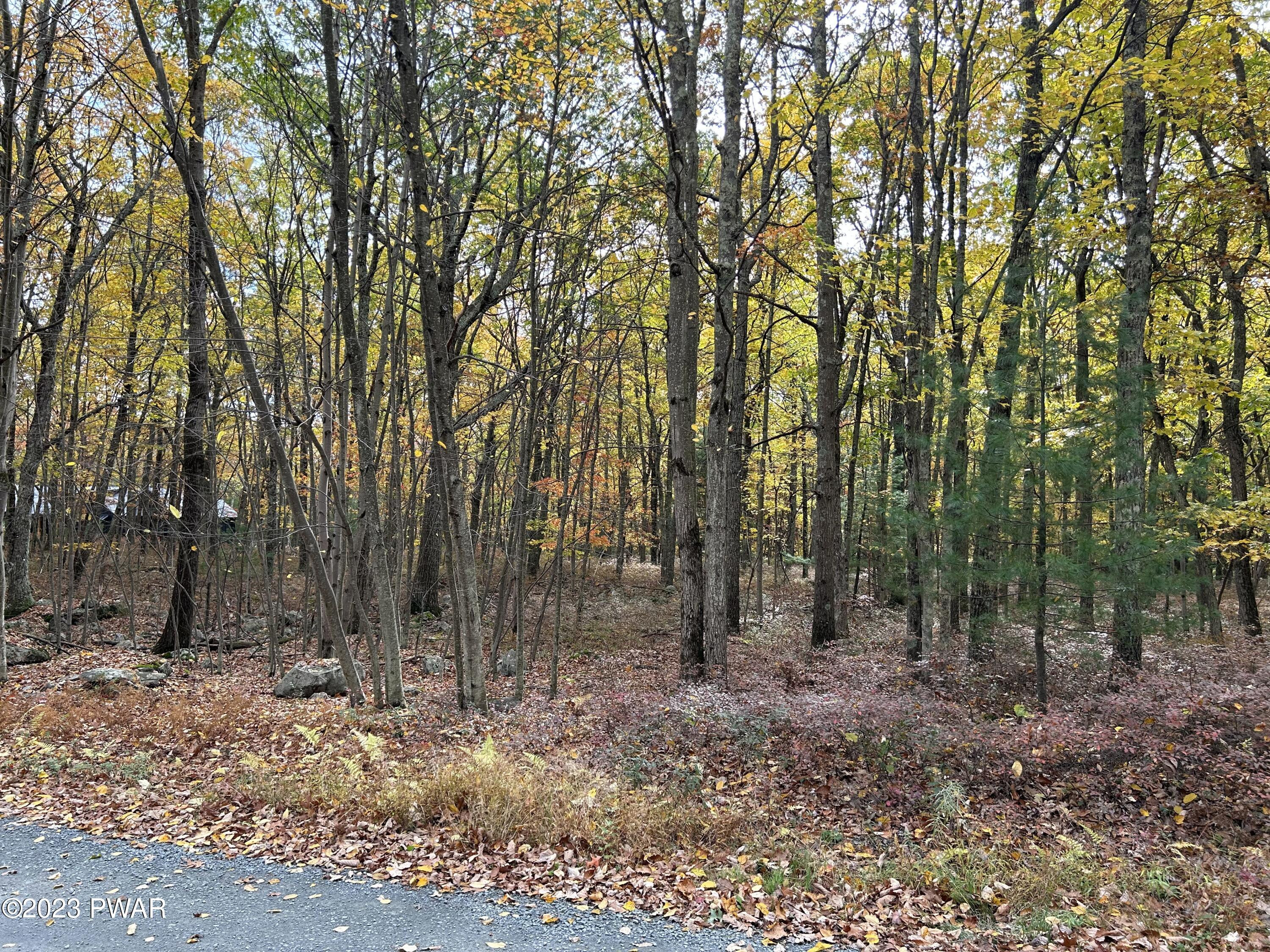 Lot 26 Timber Ridge Drive Hawley, PA 18428 - Photo 11 of 18