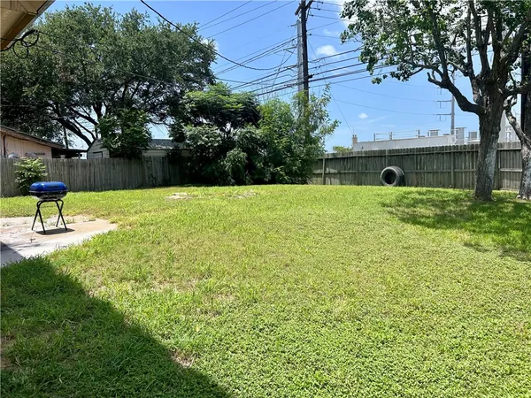 a view of a garden with a tree