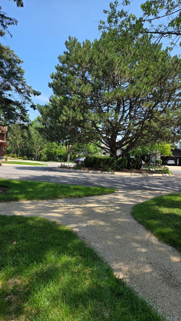 1415 Chartres Drive, Unit 1F Northbrook, IL 60062 - Photo 27 of 35 a view of a park