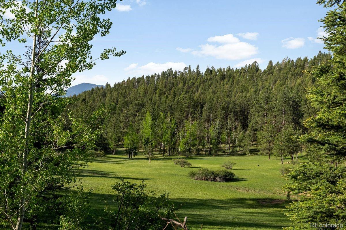29700 South Sunset Trail Conifer, CO 80433 - Photo 42 of 46