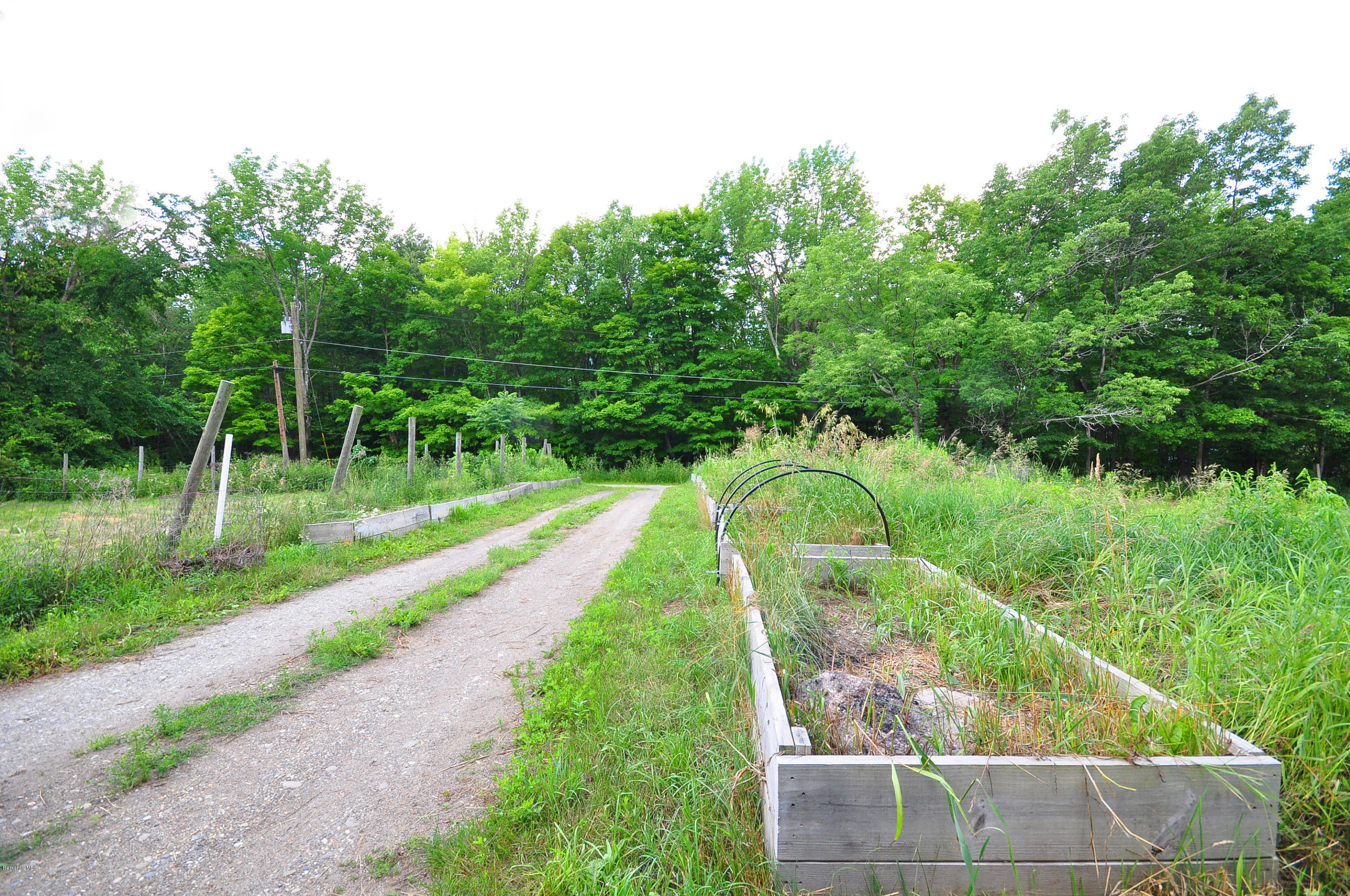 6 Johnnycake Hill Road Chester, MA 01011 - Photo 7 of 43 a view of a garden with a small yard