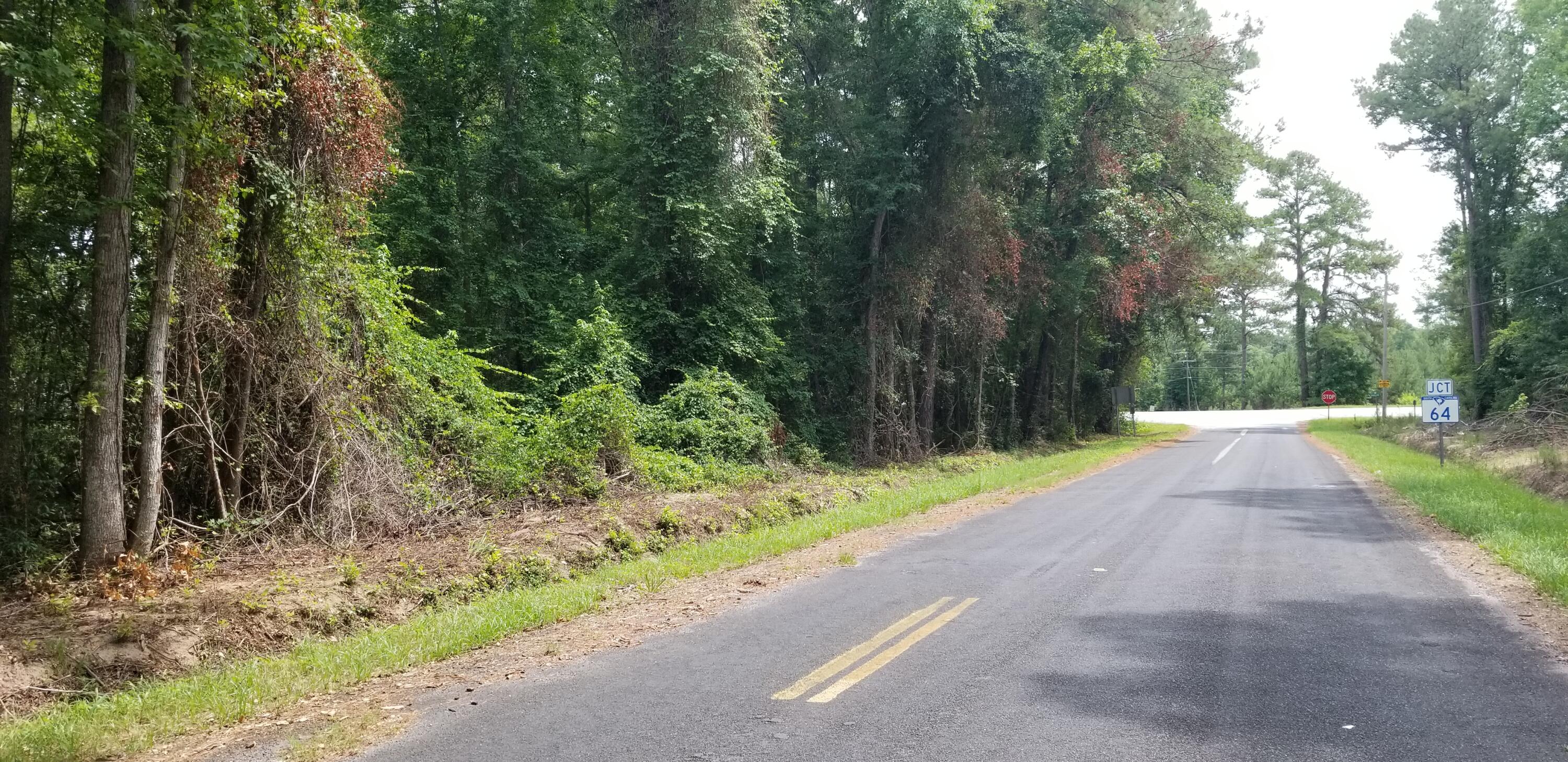 0 Pine Needle Road Walterboro, SC 29488 - Photo 1 of 1 20260625_113528