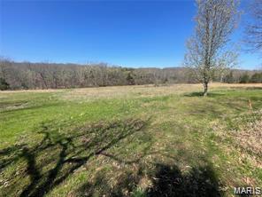 4101 Juedeman Road Cuba, MO 65453 - Photo 56 of 85