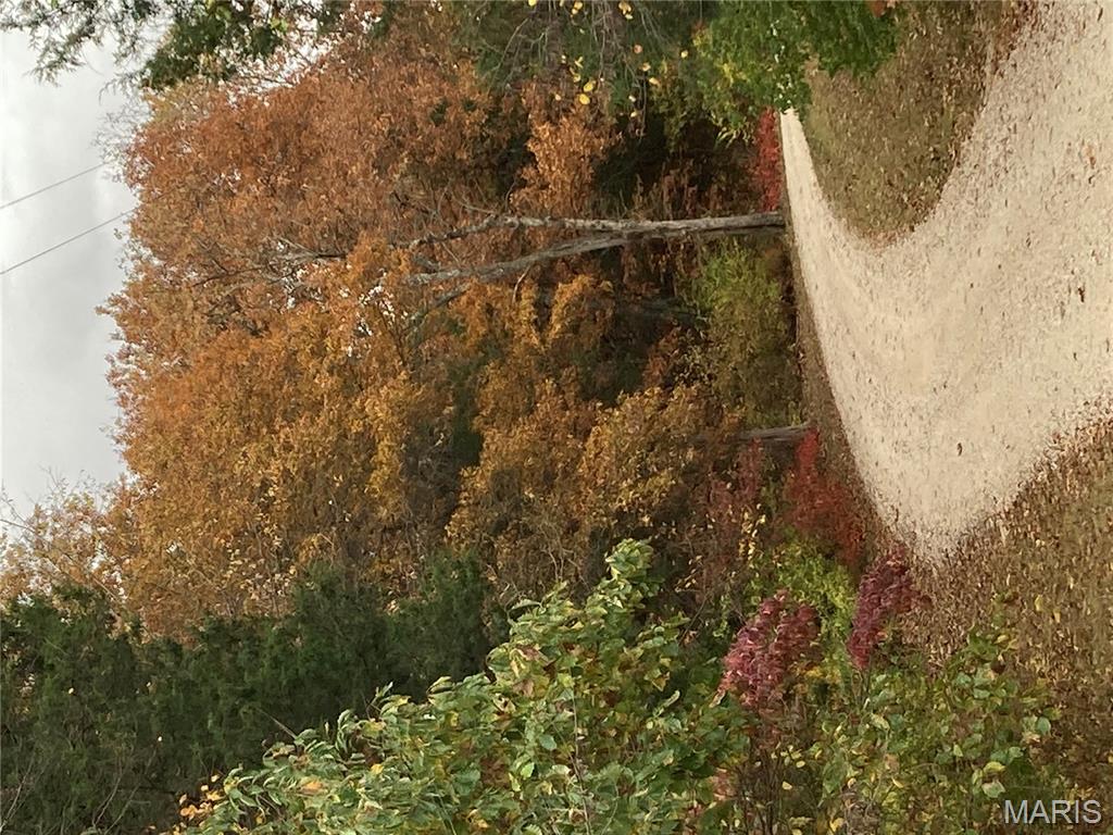 4101 Juedeman Road Cuba, MO 65453 - Photo 74 of 85