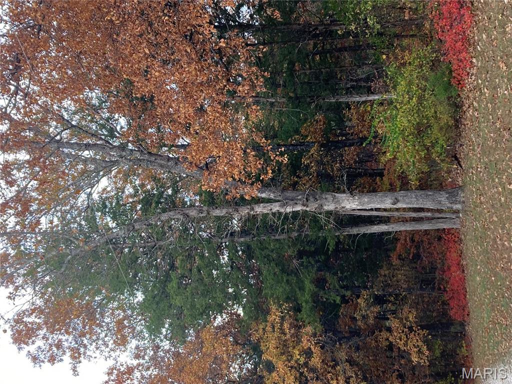 4101 Juedeman Road Cuba, MO 65453 - Photo 75 of 85