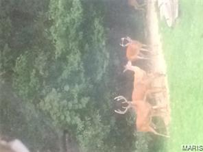 4101 Juedeman Road Cuba, MO 65453 - Photo 81 of 85