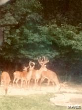 4101 Juedeman Road Cuba, MO 65453 - Photo 82 of 85