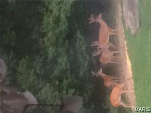 4101 Juedeman Road Cuba, MO 65453 - Photo 83 of 85