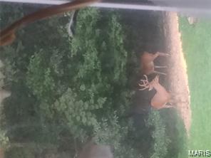 4101 Juedeman Road Cuba, MO 65453 - Photo 85 of 85