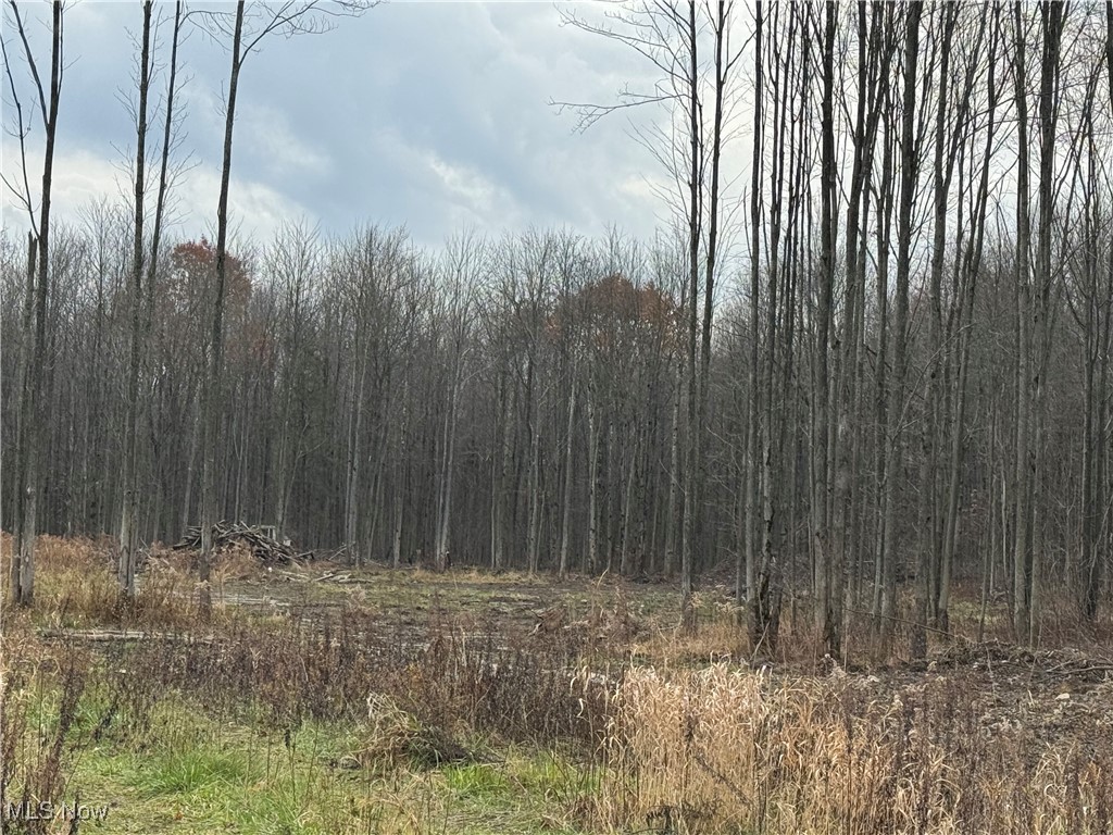 Root Road Conneaut, OH 44030 - Photo 4 of 7
