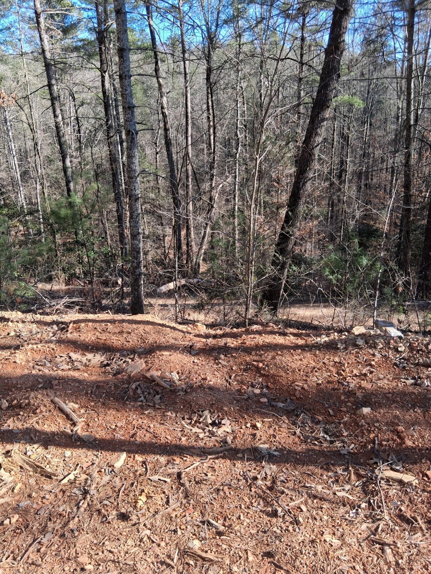 0 Tinker Branch Road Reliance, TN 37369 - Photo 11 of 17