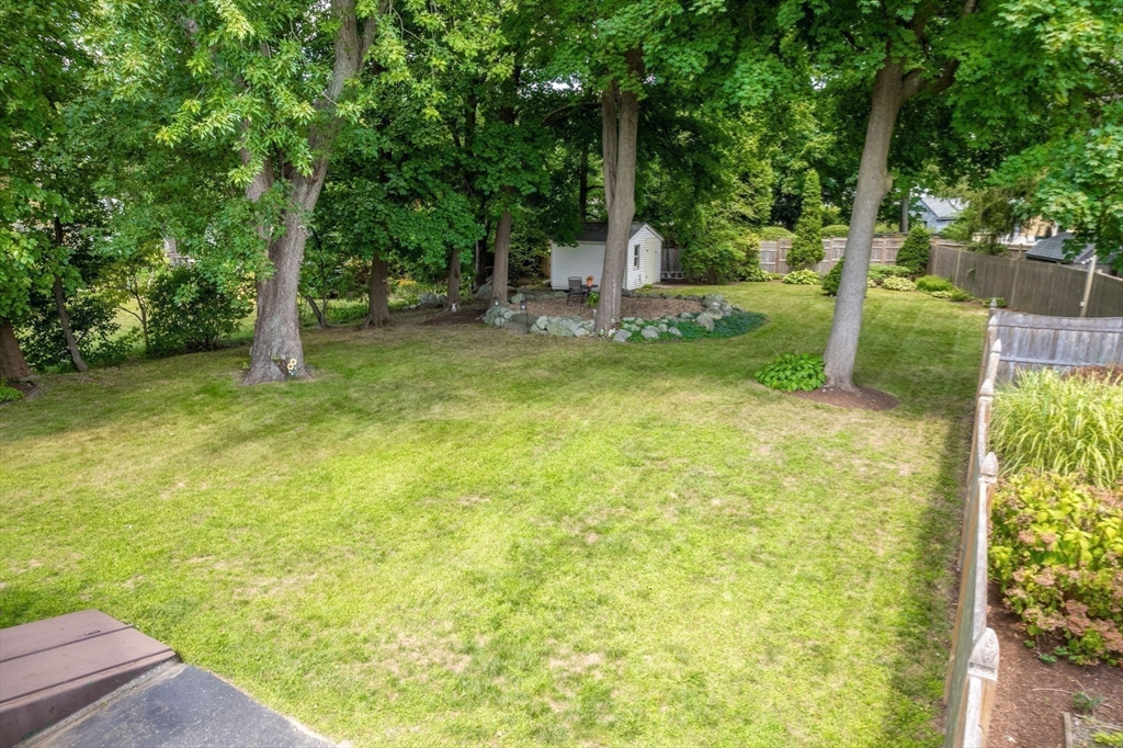 27 Prospect Avenue Arlington, MA 02476 - Photo 4 of 42 a backyard of a house with plants and large tree