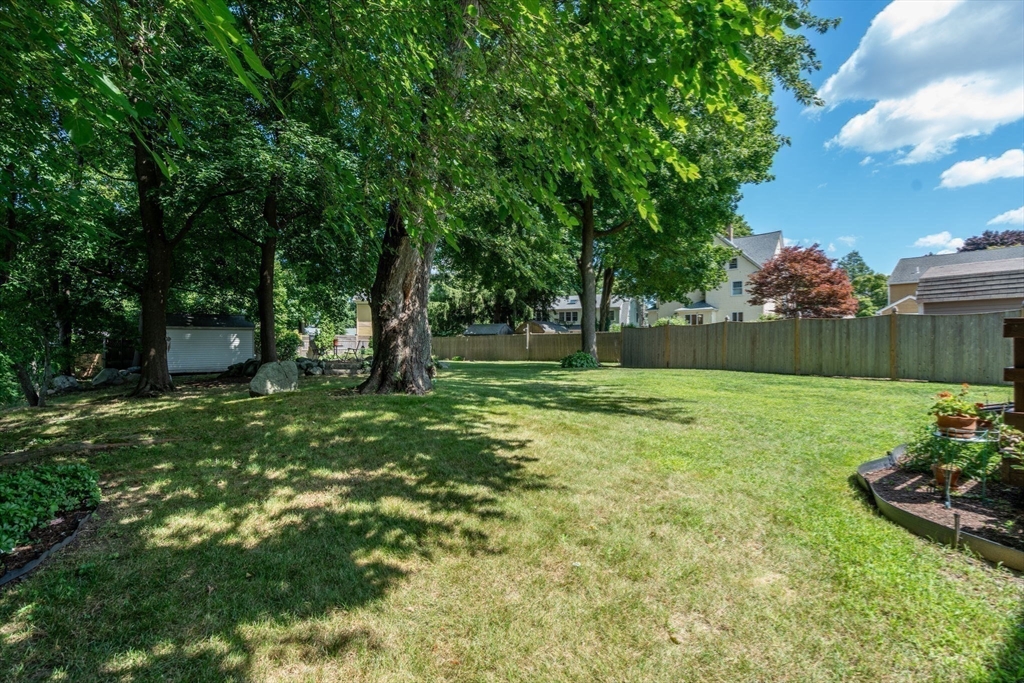 27 Prospect Avenue Arlington, MA 02476 - Photo 7 of 42 a view of a garden with plants and large trees