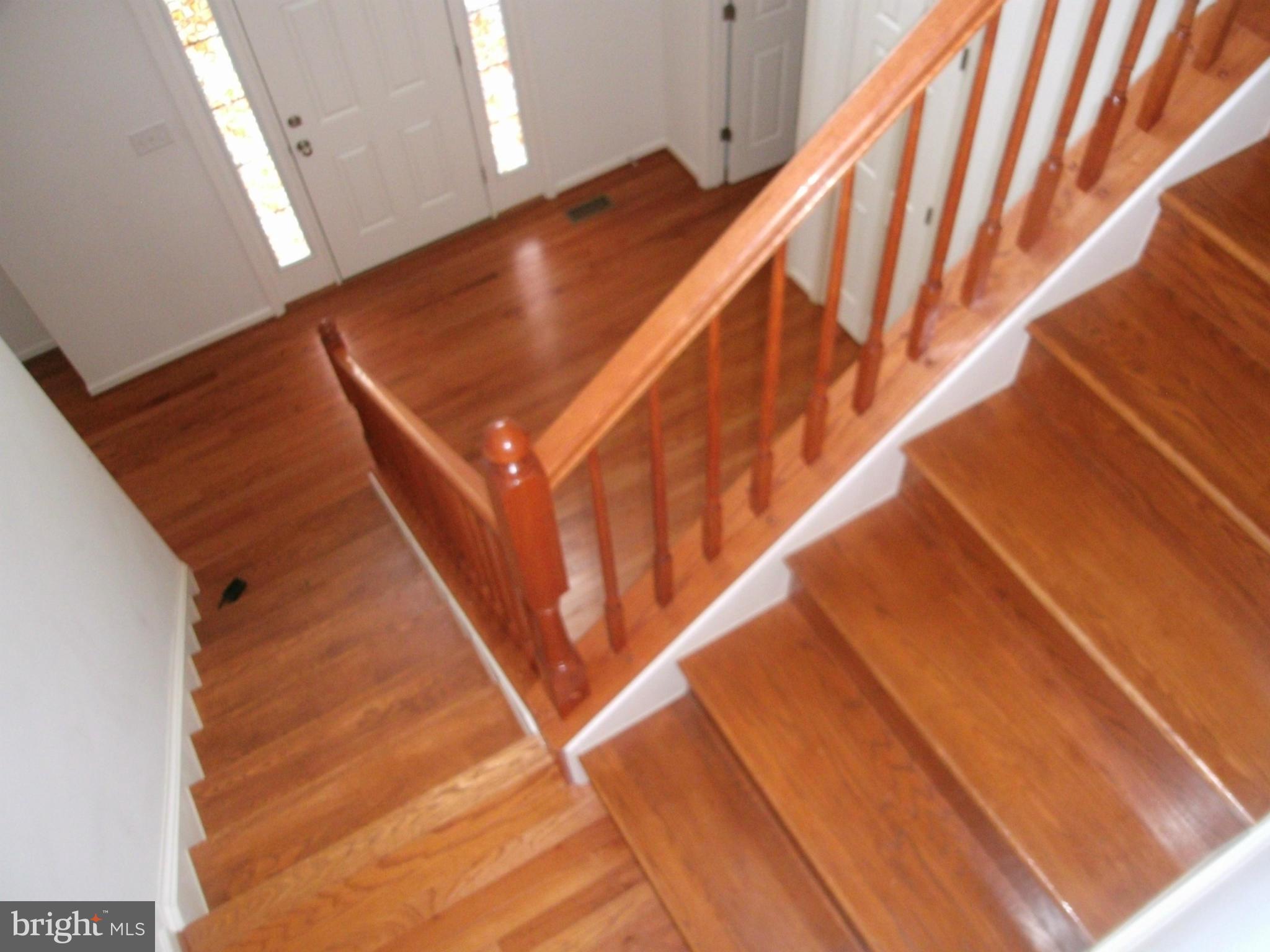 535 Rivanna Run Falling Waters, WV 25419 - Photo 11 of 28 Interior (General)