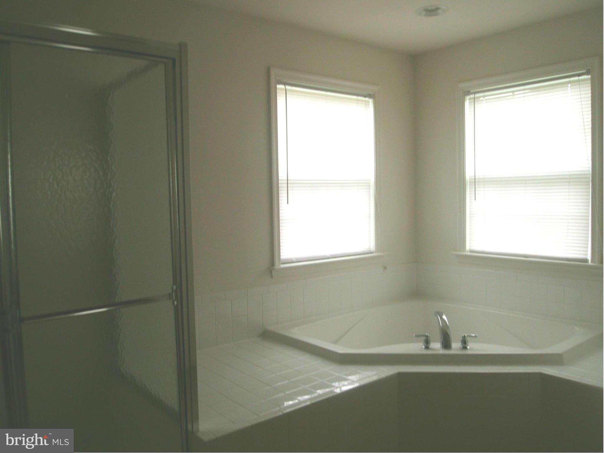 535 Rivanna Run Falling Waters, WV 25419 - Photo 13 of 28 Bath (Master)