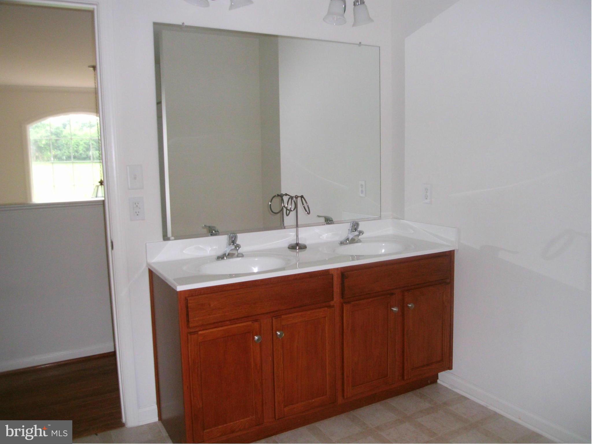 535 Rivanna Run Falling Waters, WV 25419 - Photo 17 of 28 Bath