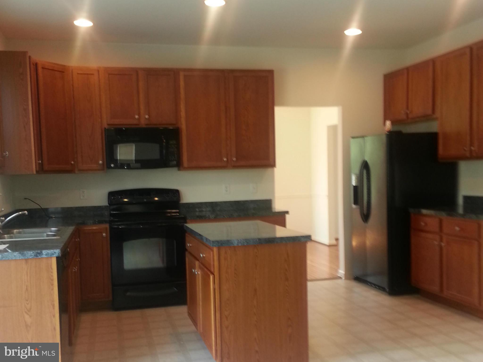 535 Rivanna Run Falling Waters, WV 25419 - Photo 3 of 28 Kitchen