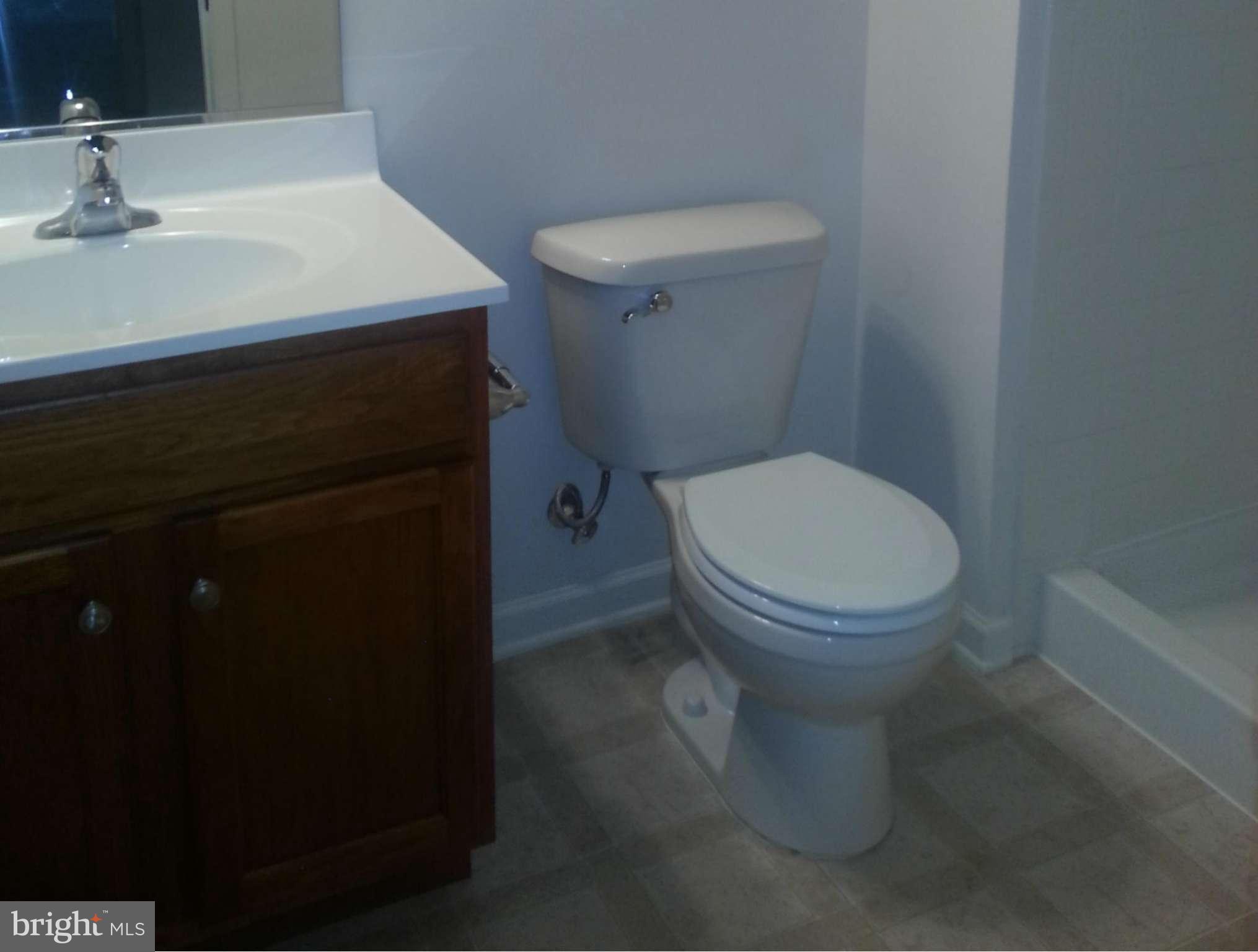 535 Rivanna Run Falling Waters, WV 25419 - Photo 28 of 28 Bath