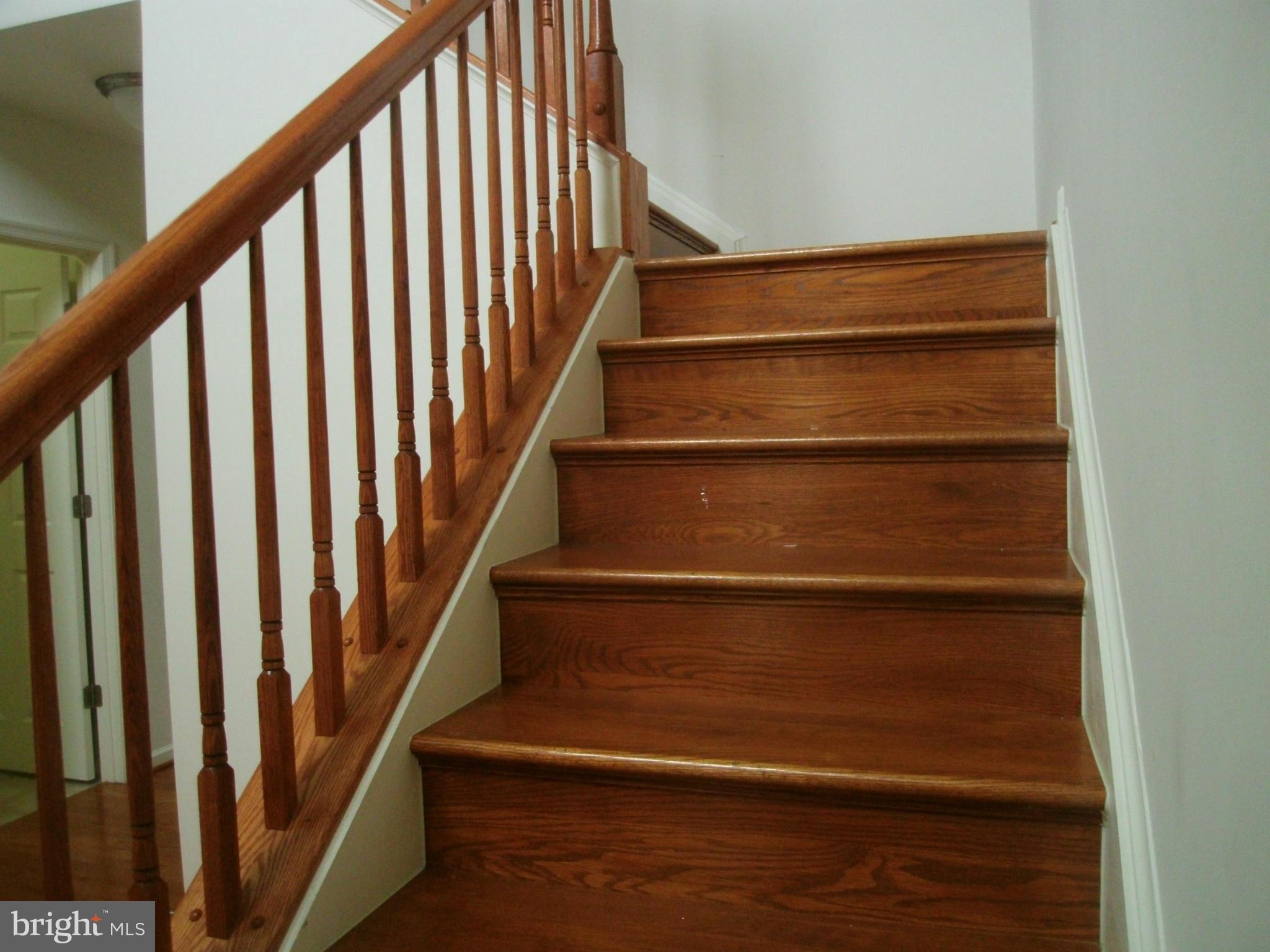 535 Rivanna Run Falling Waters, WV 25419 - Photo 10 of 28 Interior (General)