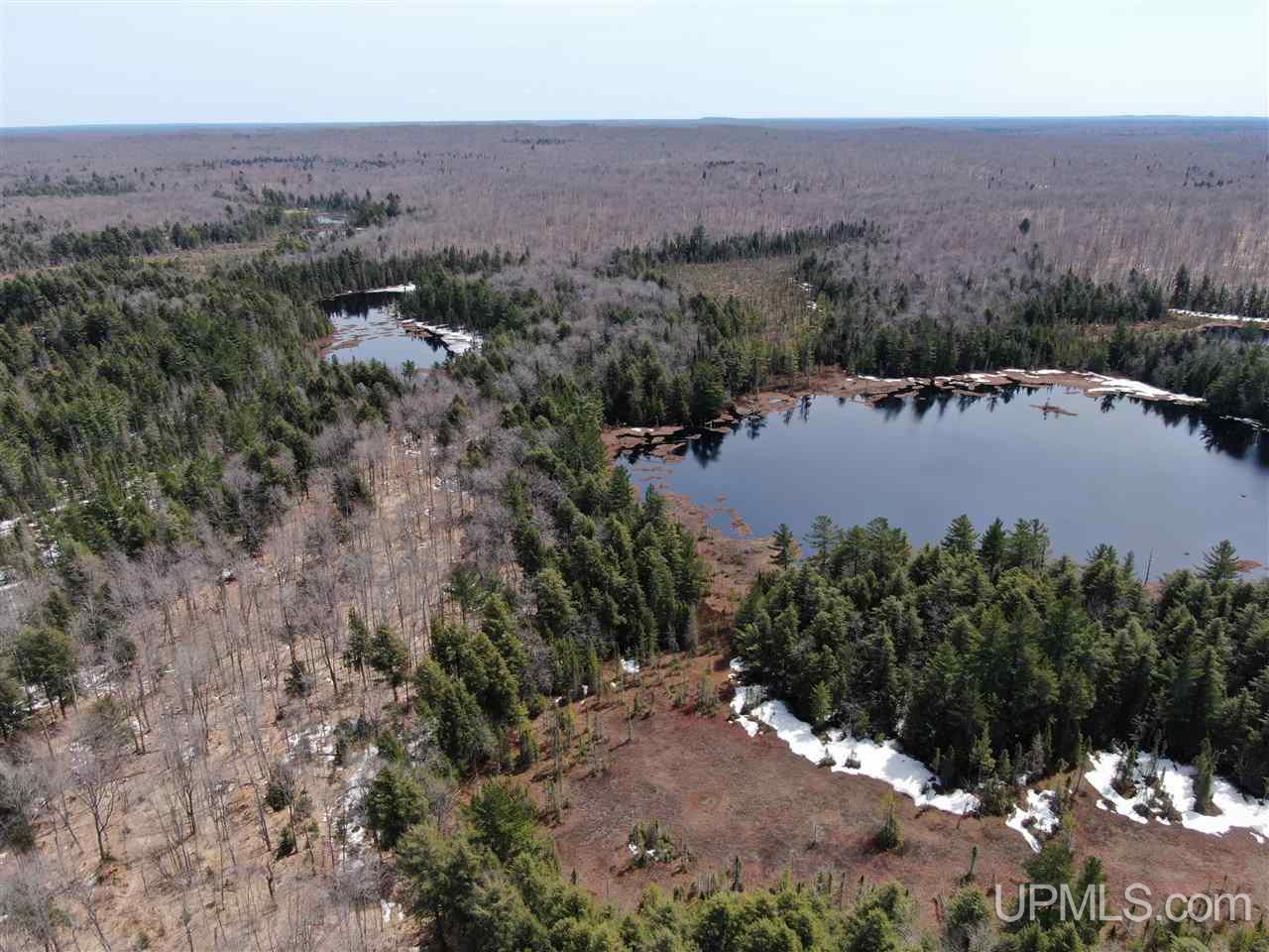 0 Old Seney Road Seney, MI 49883 - Photo 17 of 31