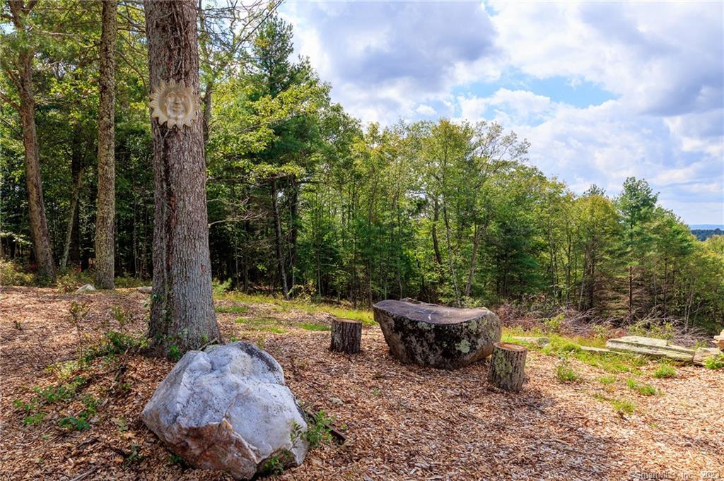 612 Cook Hill Road Killingly, CT 06239 - Photo 17 of 33 a view of a backyard with large trees