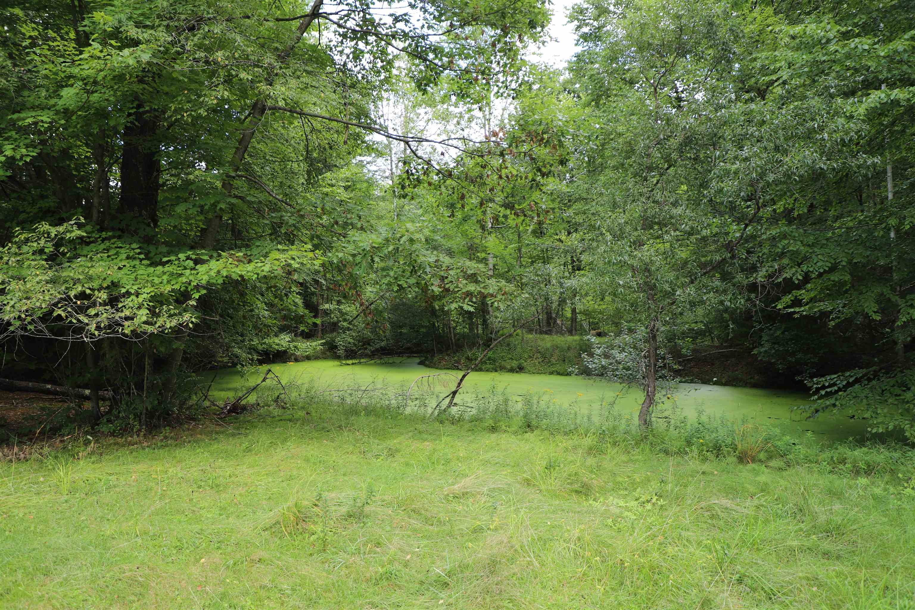 41 Miller Road Chester, VT 05143 - Photo 30 of 30