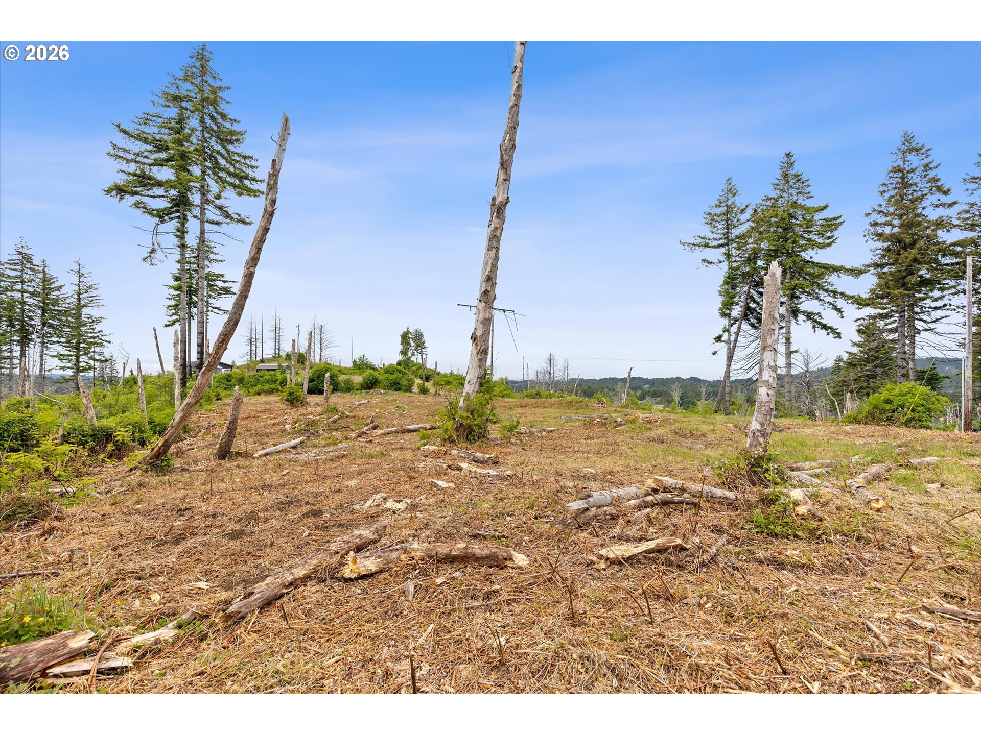 Northeast Viewcrest Street, Unit TL 900 Otis, OR 97368 - Photo 14 of 14